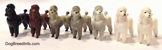 A line-up of seven different color variations of a Poodle standing figurine.