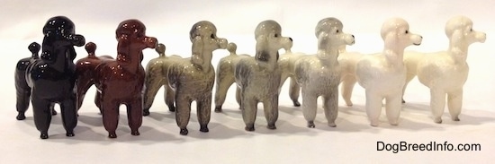 The front right side of a line-up of seven different color variations of a Poodle standing figurine. All of the figurines are looking up and to the right.