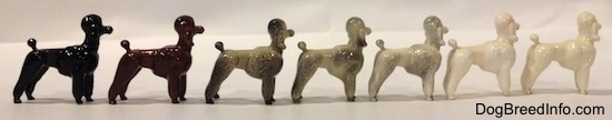 The right side of seven color variations of a Poodle standing figurine. The figurines have a short tail with a large poof at the top.