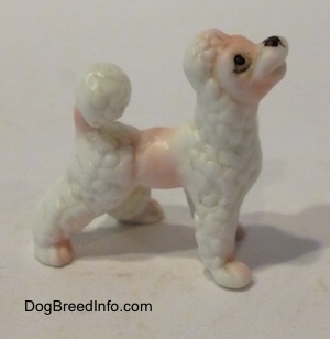 The right side of a white bone china Poodle puppy figurine. the figurine is looking up.
