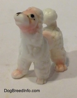 The front left side of a bone china Poodle puppy figurine. The figurine has black circles for eyes and a nose.