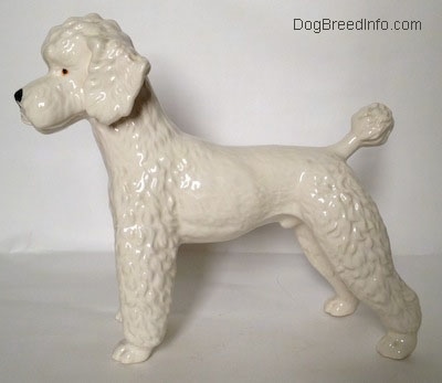 The left side of a white Poodle figurine. The ears of the figurine are flopped over.