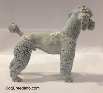 The right side of a white with blue porcelain Poodle figurine. The figurine has average length legs.