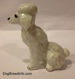 The left side of a white bone china Poodle figuinre in a seated position. The figurine has a poofy ear.
