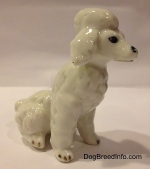The front right side of a figurine of a white bone china Poodle figurine in a sitting position. The figurine has poofy leg and chest hair.