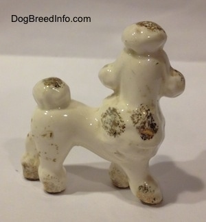 The right side of a porcelain Poodle puppy figurine. The figurine has a hair poof on its head.