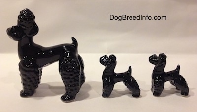 The left side of three black Poodle figurines. There are two puppies and an adult. The figurines tails are short and arched in the air.