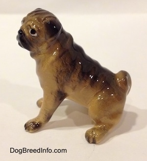The left side of a figurine of a brown with black miniature Pug seated. The figurine has a small tail in a circle on its back.