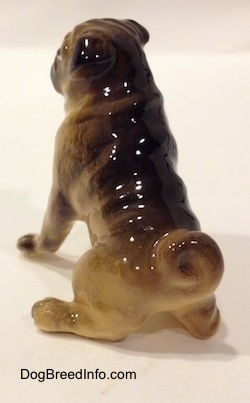 The back left side of a figurine of a brown with black miniature Pug seated. The ears of the figurine of hard to differentiate from the head at this angle.