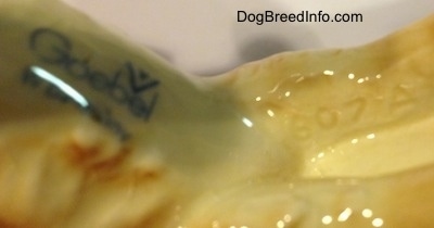 Close up - A engraved number/letter combination on the underside of a Saint Bernard figurine. The engraving reads '807 A'.