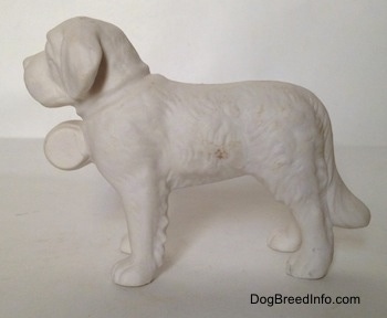 The left side of a white bisque figurine of a porcelain Saint Bernard. The figurine has a long tail.