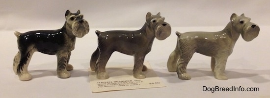 The right side of three Miniature Schnauzer figurines. They are color variations of each figurine.
