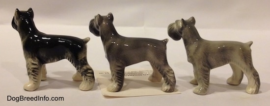 The left side of three color variations of a Miniature Schnauzer figurine. The figurines have short tails arched in the air.