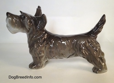 The left side of a black, grey and white Schnauzer figurine in a standing pose. The figurine is glossy.