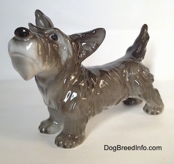 The front right side of a black, grey and white Schnauzer in a standing pose figurine. The figurine has detailed black circles for eyes and a nose.
