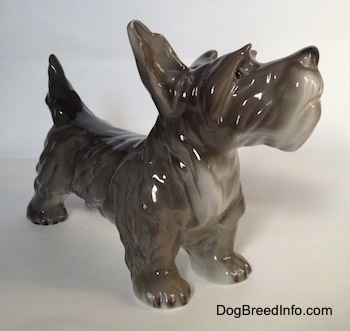 The front right side of a figurine of a black, grey and white miniature Schnauzer that is in a standing pose. The chest of the figurine is white.