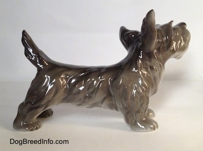 The right side of a figurine of a black, grey and white Schnauzer in a standing pose. The figurine has its long tail arched in the air.