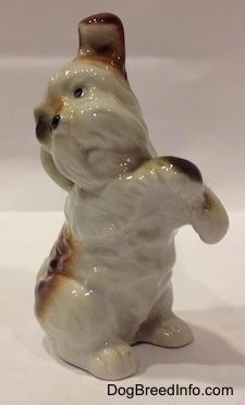 The front right side of a parti-colored bone china Miniature Schnauzer figurine. The figurine has short legs.
