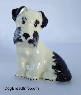 The left side of a ceramic parti-color Miniature Schnauzer figurine in a sitting position. The figurines head is tilted and it has black circles for eyes.