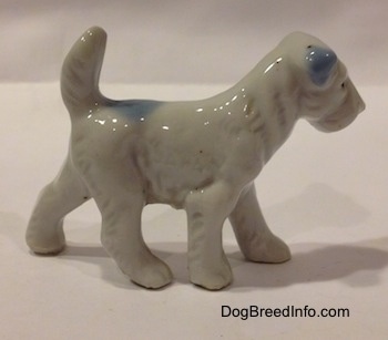 The right side of a bone china white with blue figurine of a Miniature Schnauzer figurine. The ears of the figurine are blue.