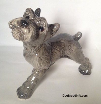 Top down view of a grey with white Schnauzer puppy. The figurine is looking up.