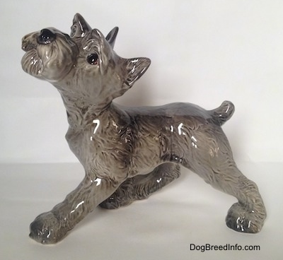 The left side of a grey with white Schnauzer puppy figurine. The figurine has a detailed face.