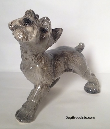 The front right side of a grey with white Schnauzer puppy figurine. The figurine has hair around its muzzle.