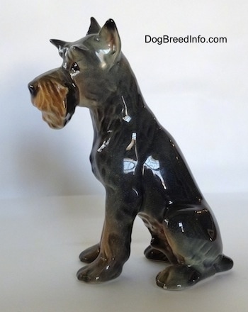 The left side of a figurine of a grey with tan Schnauzer. The figurine is glossy.