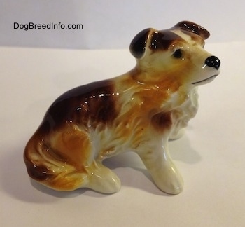 The right side of a porcelain white with brown Scotch Collie dog sitting figurine. The figurine has its tail attached to the side of its leg.
