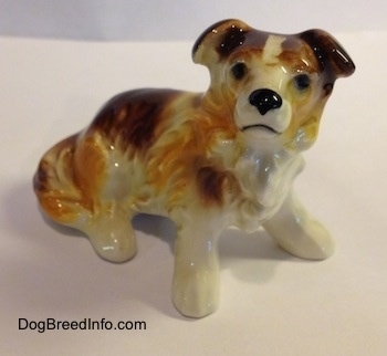 The front right side of a figurine of a porcelain white with brown Scotch Collie sitting. The figurine ha sfine hair details along its body.