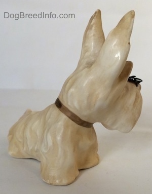 The front right side of a white and cream Scottish Terrier sitting figurine with a fly on its nose. The figurine has short legs.