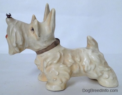 The left side of a white with cream Scottish Terrier with a fly on its nose figurine. The figurine has its long ears in the air.
