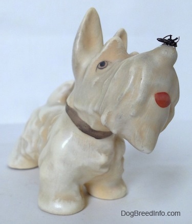 The front right side of a figurine of a white and cream Scottish Terrier with a fly on its nose. The figurines mouth is painted open.