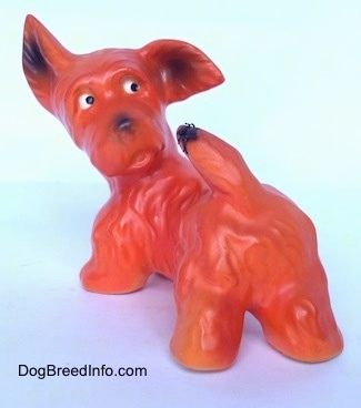 The back left side of an orange with black Scottish Terrier figurine. One of the figurines ears is flopped over and the other is standing up.