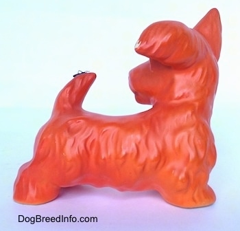 The right side of an orange with black Scottish Terrier figurine. The figurine has fine hair brushings.