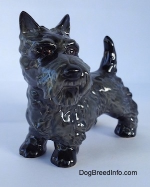 The front left side of a black Scottish Terrier figurine. The figurine has alert ears and it is looking to the right.