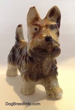 The frotn of a brown with white figurine of a bone china Scottish Terrier. The figurien has black circles for eyes and a nose.