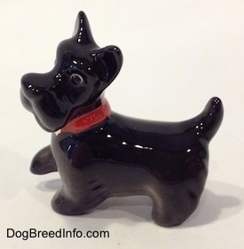 The left side of a black Scottish Terrier figurine walking figurine. The figurine has on a red collar.