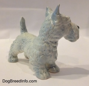 The front right side of a figurine of a white with blue highlights Scottish Terrier. The figurine has detailed hair brushings along its body.