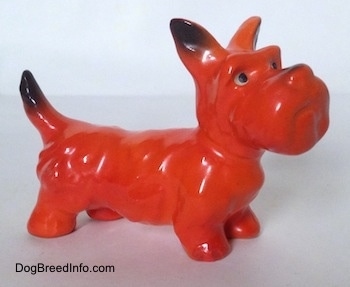 The front right side of an orange with black figurine of a Scottish Terrier. The figurine has black tipped ears.