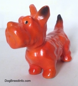 The front left side of a figurine of an orange with black Scottish Terrier standing. The figurine has short legs.