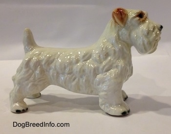 The right side of a white with brown Sealyham Terrier figurine. The figurine has a long body.