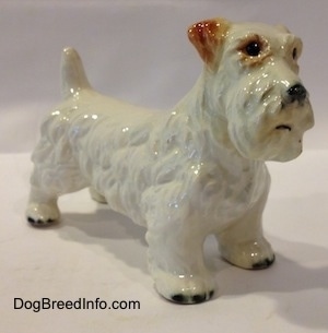 The front right side of a figurine of a white with brown Sealyham Terrier. The figurine has short legs and black tipped nails.