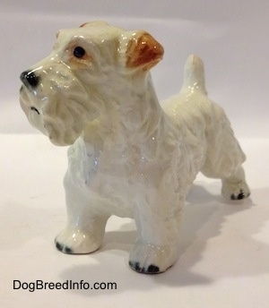 The front left side of a white with brown figurine of a Sealyham Terrier. The figurine has black circles for eyes.