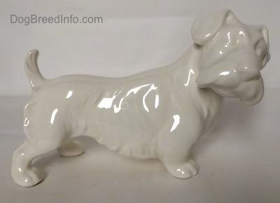 The right side of an unpainted white Sealyham Terrier figurine that is glossy.