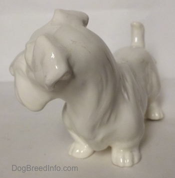 The front left side of an unpainted figurine of a Sealyham Terrier. The figurine has short legs.