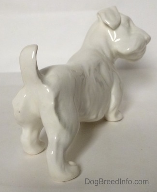 The back right side of a white unpainted Sealyham Terrier. The figurine has flopped over ears.