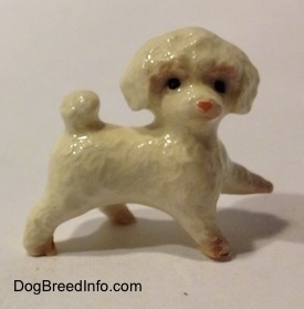 The right side of a white with brown Toy Poodle walking figurine. The figurine has black circles for eyes.