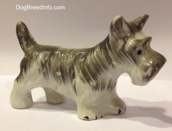 The front right side of a grey and white porcelain miniature Schnauzer figurine. The ears of the figurine are in the air. 