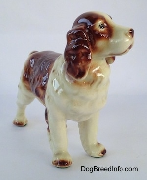 The front right side of a figurine of a brown and white Welsh Springer Spaniel. The figurines has a brown muzzle at the end of its muzzle.
